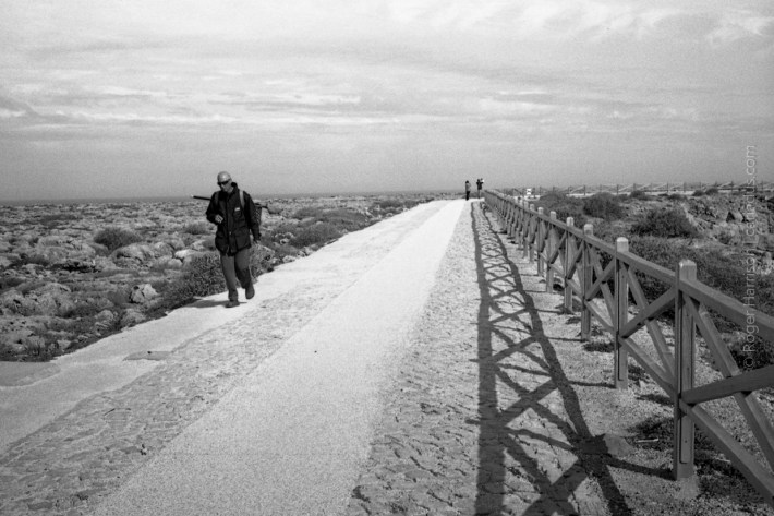 35dc-20160425017_800x600