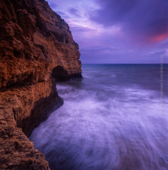 hassy-20160422005_800x600