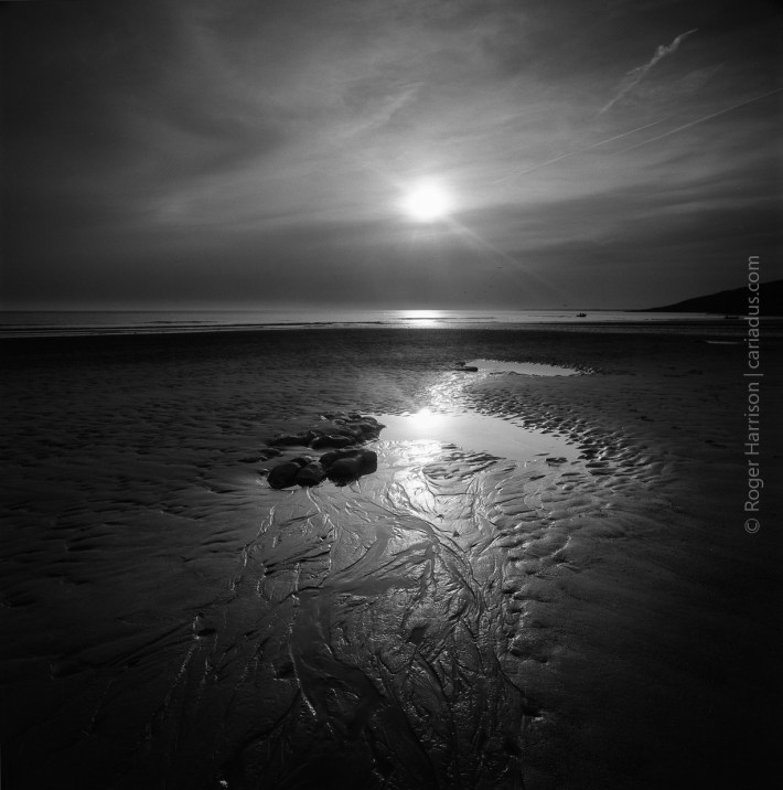 hassy-20160513-011_800x600