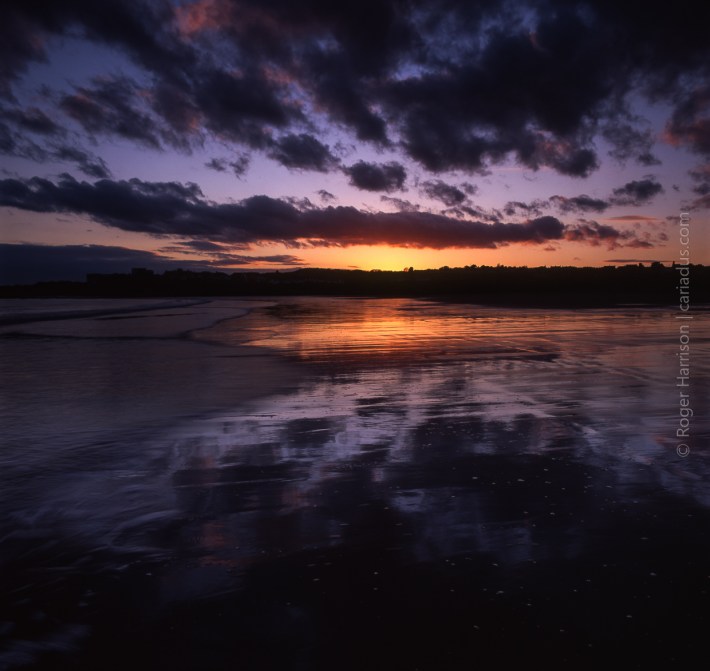 hassy-20160526-001_800x600