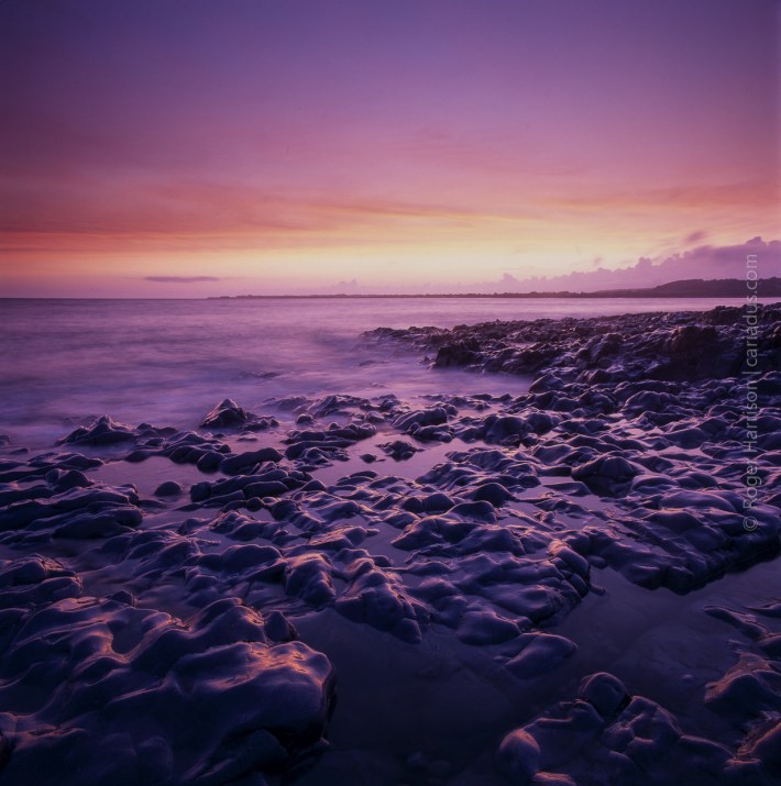 hassy-20160526-003_800x600