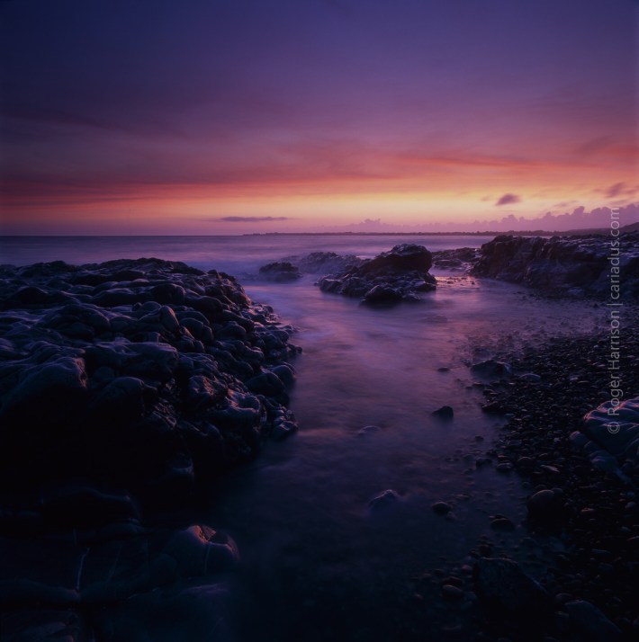 hassy-20160526-005_800x600