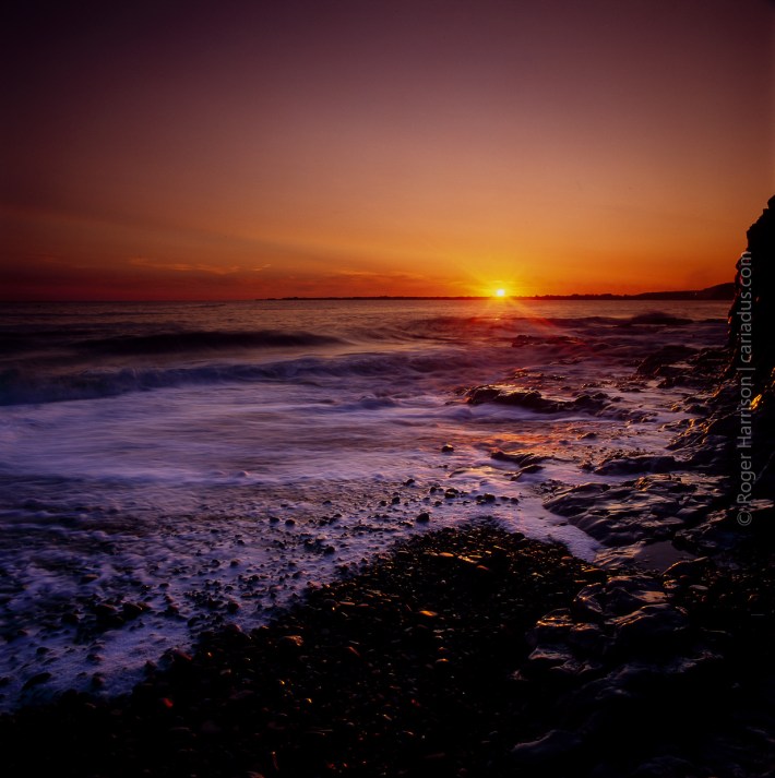 hassy-20160526-011_800x600