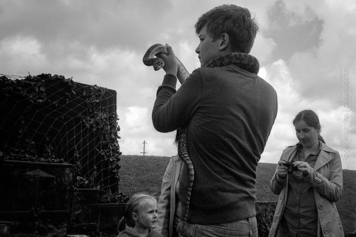 Some more close up than others... Yashica T3, XP2