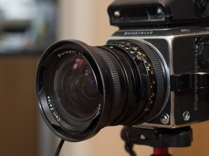 40mm CF with hood dedicated hood attached