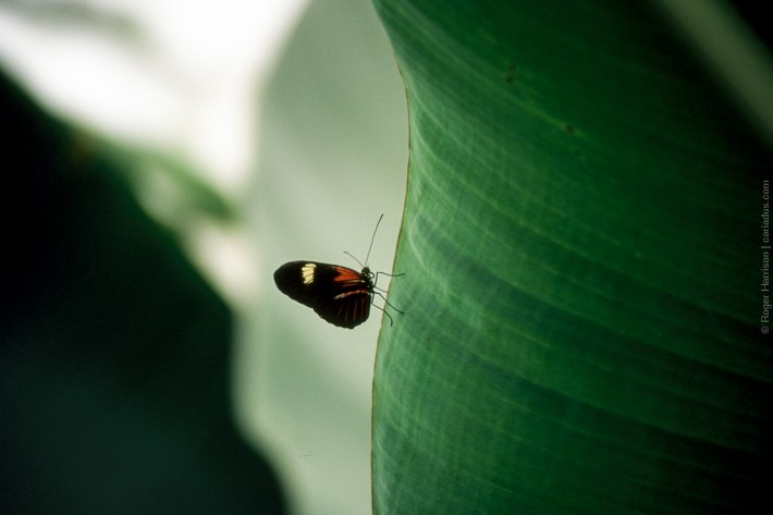 om4-20160920-008_800x600