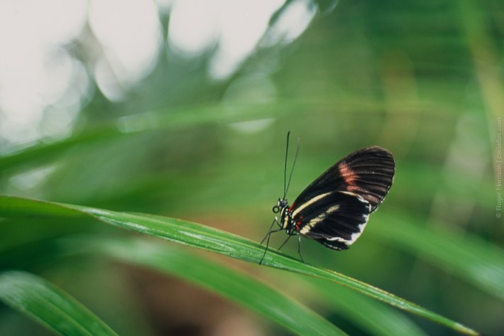 om4-20160920-019_800x600