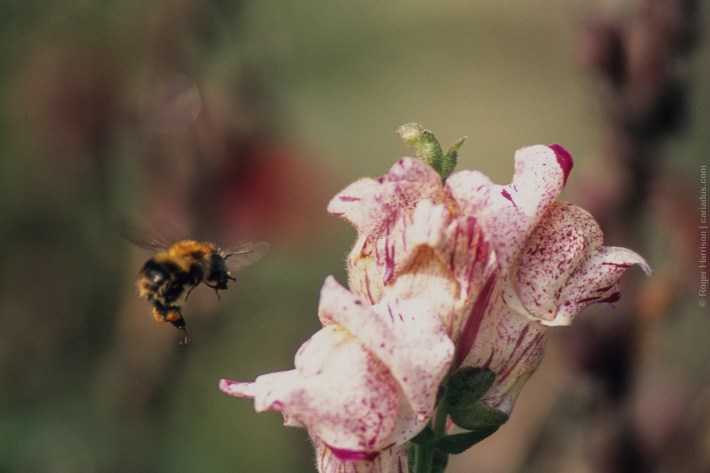 om4-20160920-031_800x600