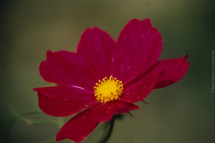 om4-20160920-038_800x600