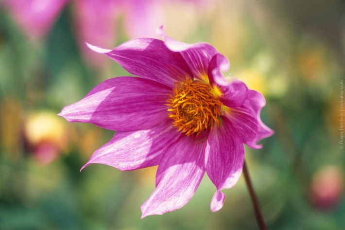 om4-20160920-040_800x600