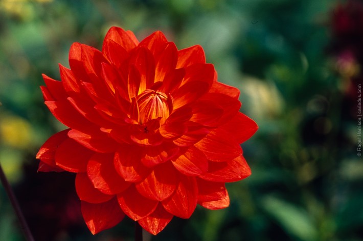 om4-20160920-042_800x600