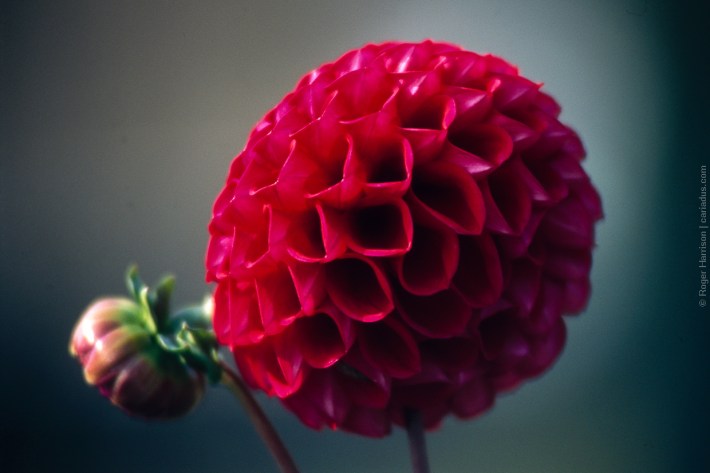 om4-20160920-043_800x600