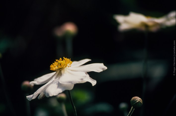 om4-20160923-023_800x600