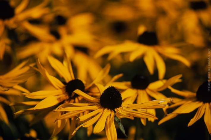 om4-20160923-025_800x600