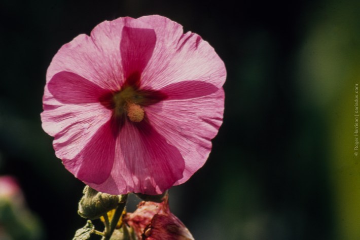 om4-20160923-027_800x600