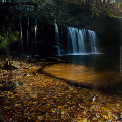 hassy-20161105-001_small