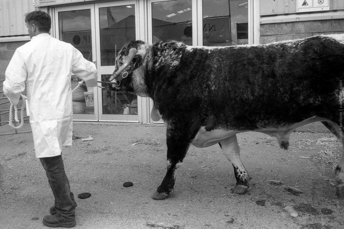 mjuii-20170725-001_800x600