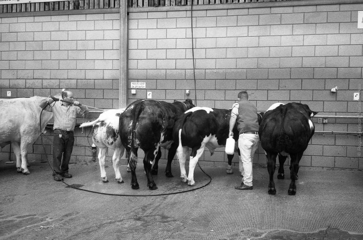 mjuii-20170725-011_800x600