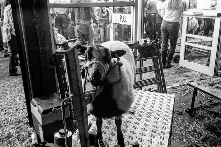 mjuii-20170726-009_800x600