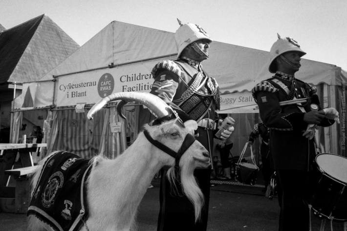 mjuii-20170726-020_800x600