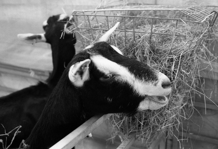 om4-20170725-007_800x600