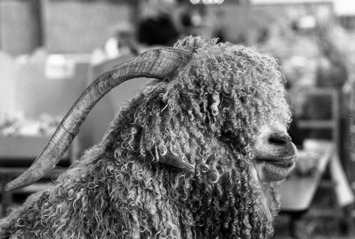 om4-20170725-023_800x600