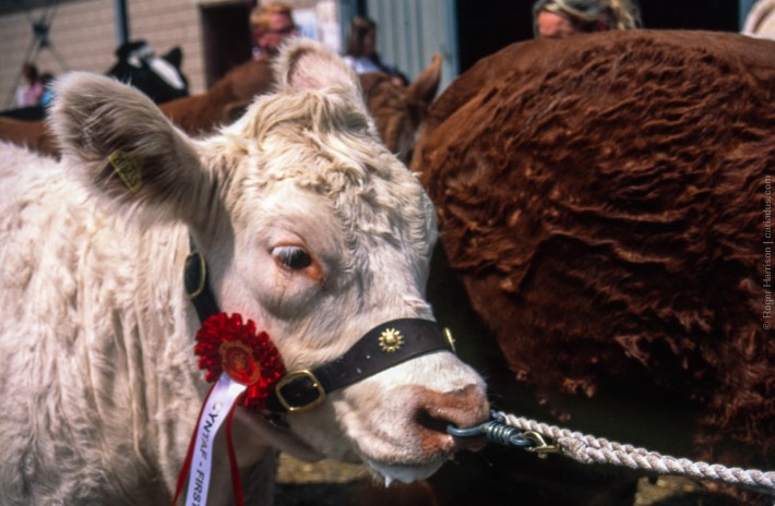 om4ti-20170725-004_800x600