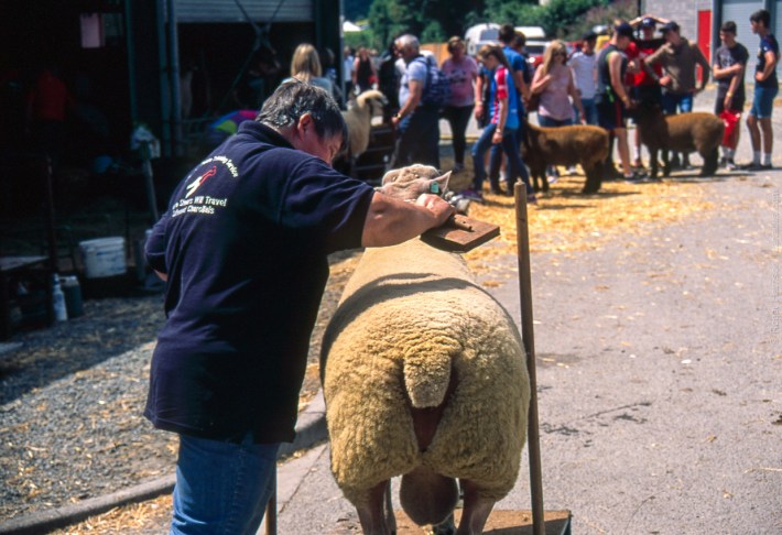 om4ti-20170725-006_800x600