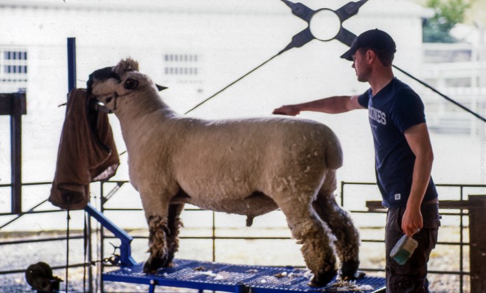 om4ti-20170725-010_800x600