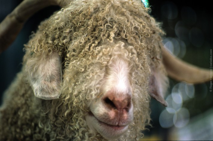 om4ti-20170725-016_800x600