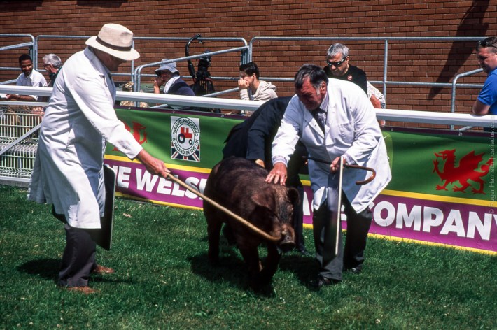 om4ti-20170725-020_800x600