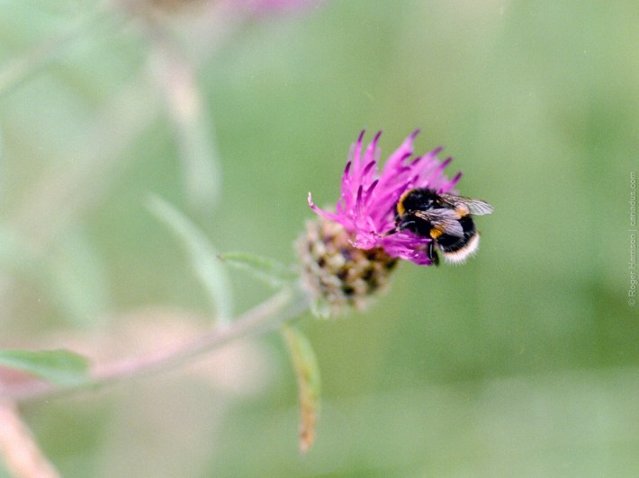 h1-20180725-009_800x600