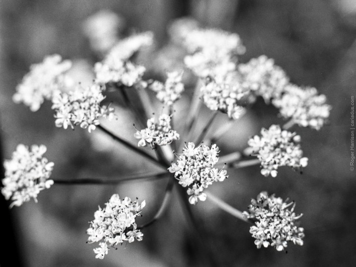 h1-20180626-016_800x600