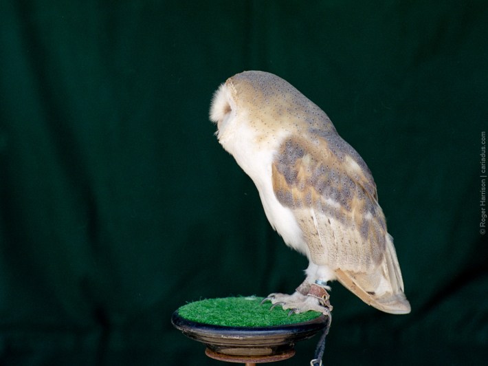 h1-20180715-003_800x600