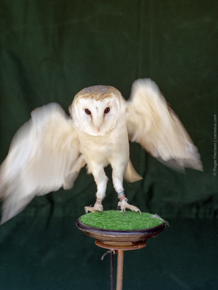 h1-20180715-004_800x600