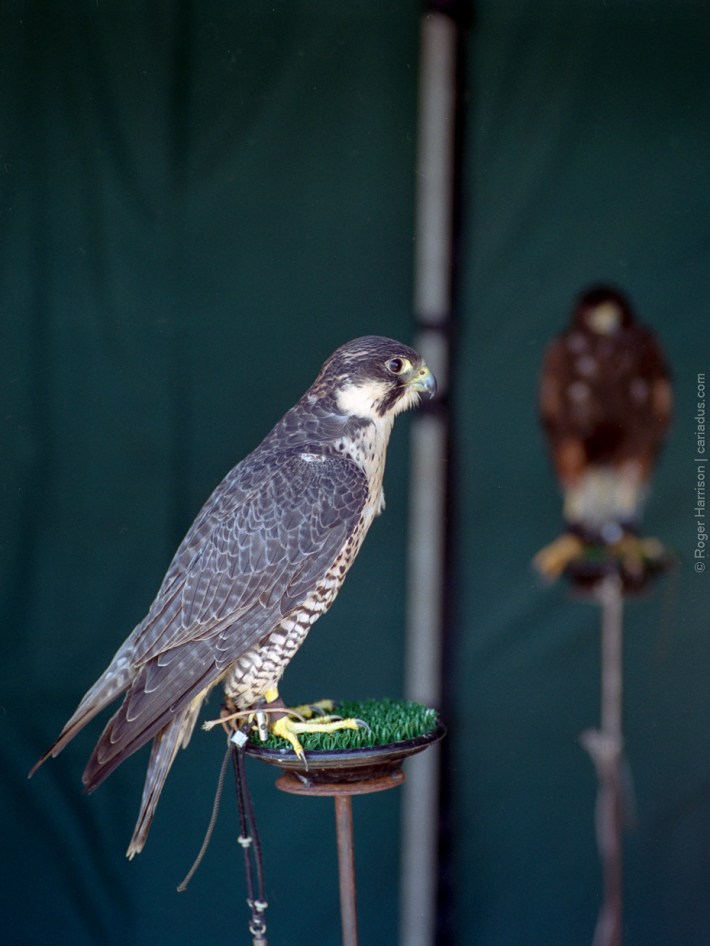 h1-20180715-005_800x600