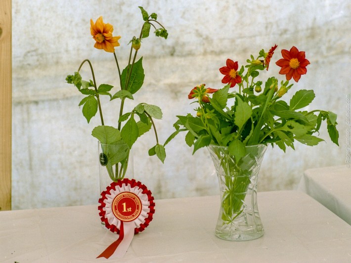 h1-20180715-007_800x600