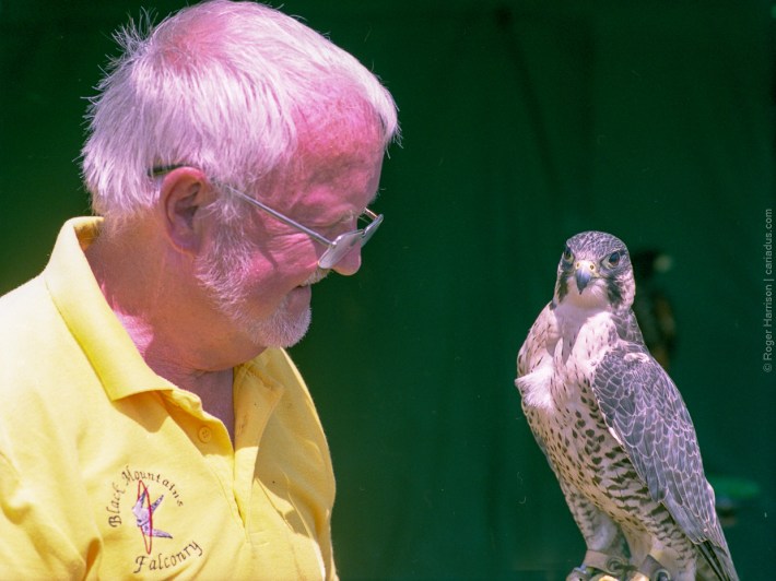 h1-20180715-014_800x600