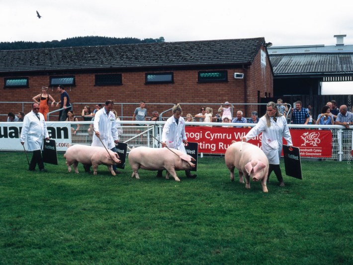 h1-20180724-004_800x600