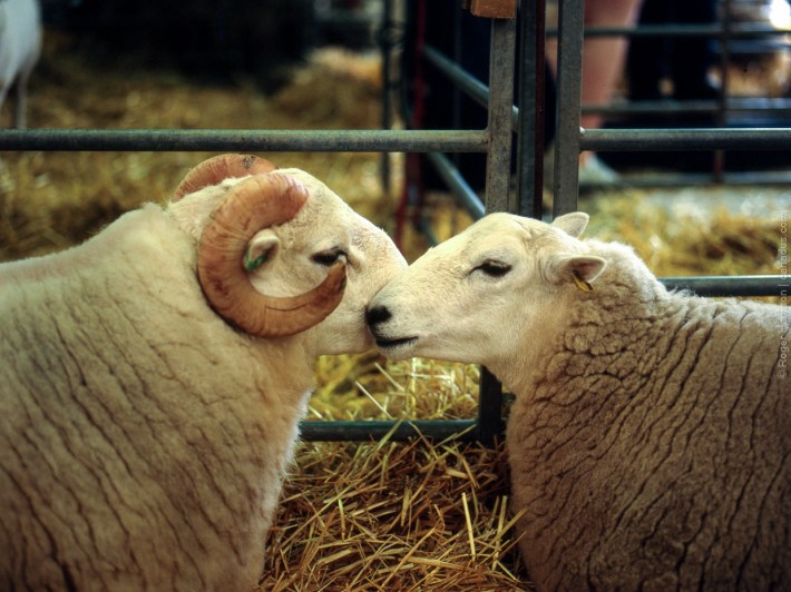 h1-20180724-005_800x600