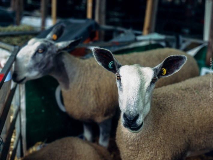 h1-20180724-006_800x600