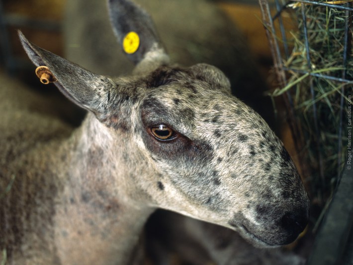 h1-20180724-007_800x600