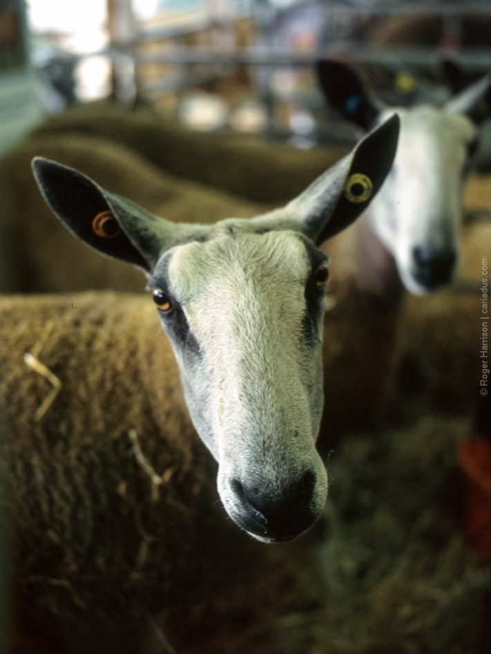 h1-20180724-008_800x600