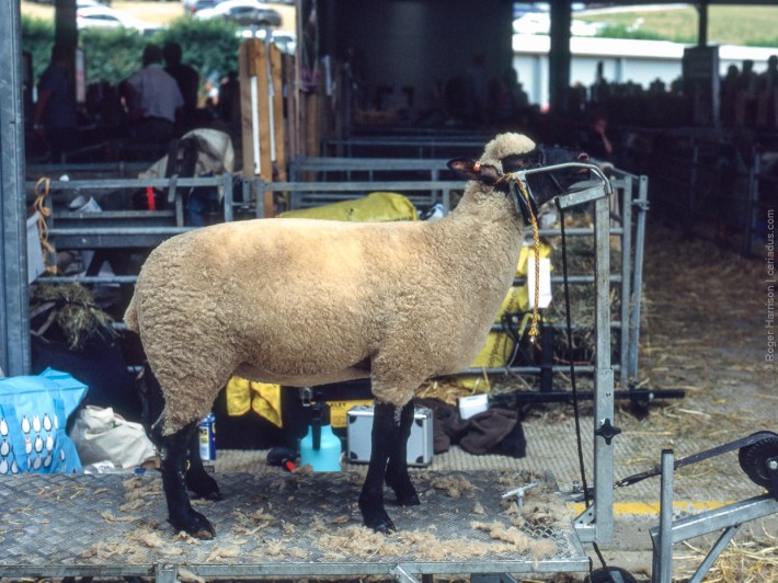 h1-20180724-009_800x600