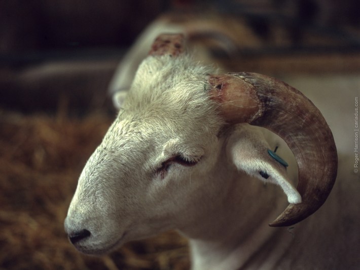 h1-20180724-010_800x600