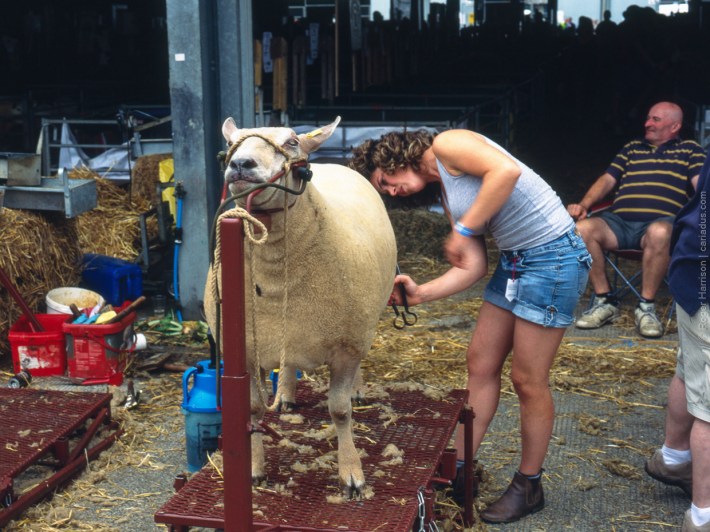 h1-20180724-012_800x600