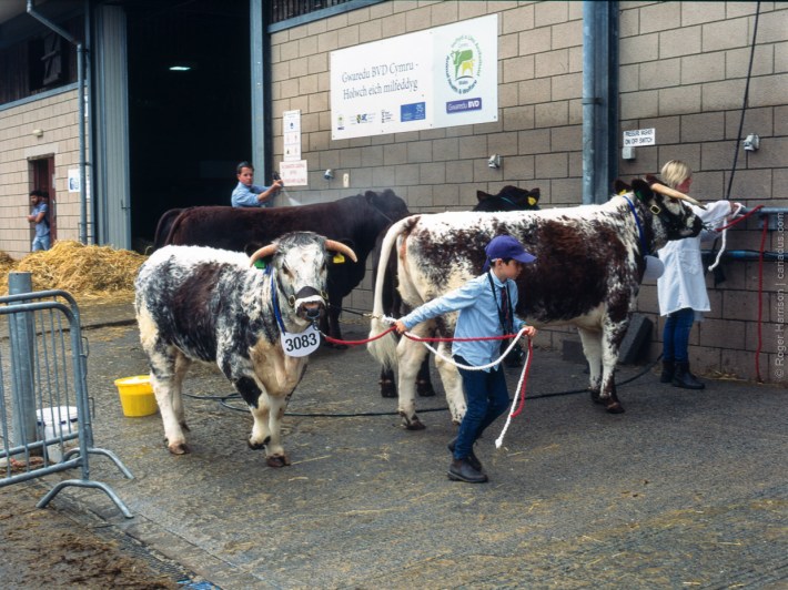 h1-20180724-013_800x600