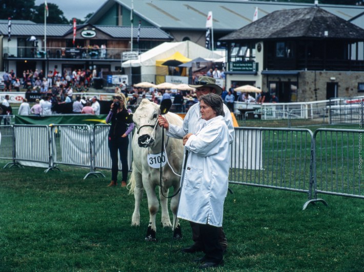 h1-20180724-014_800x600