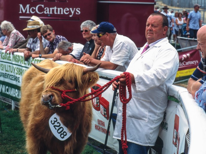 h1-20180724-015_800x600