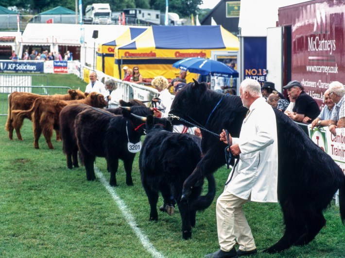 h1-20180724-016_800x600